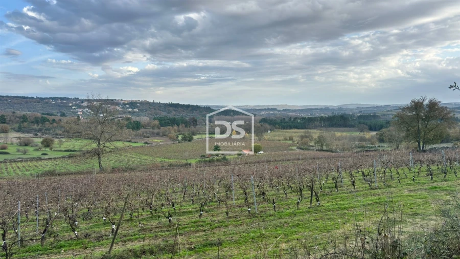 Quinta T0 para Venda em Moimentinha Foto 4