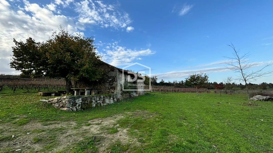 Quinta T0 para Venda em Moimentinha Foto 3