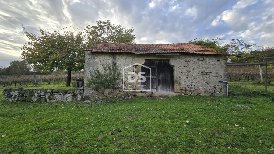 Quinta T0 para Venda em Moimentinha Foto 8