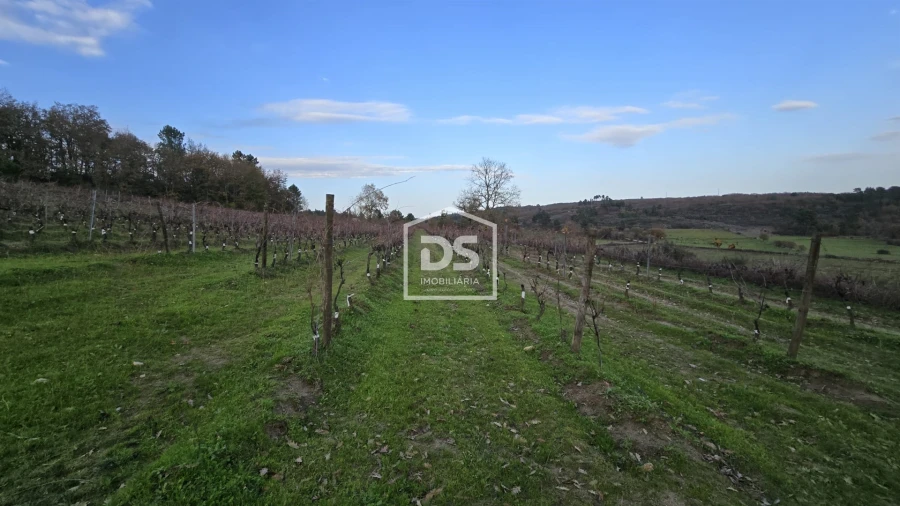 Quinta T0 para Venda em Moimentinha Foto 27