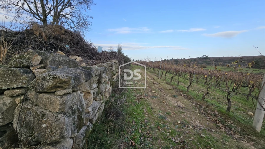 Quinta T0 para Venda em Moimentinha Foto 31