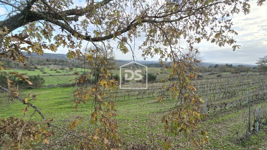 Quinta T0 para Venda em Moimentinha Foto 25