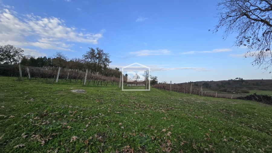 Quinta T0 para Venda em Moimentinha Foto 30