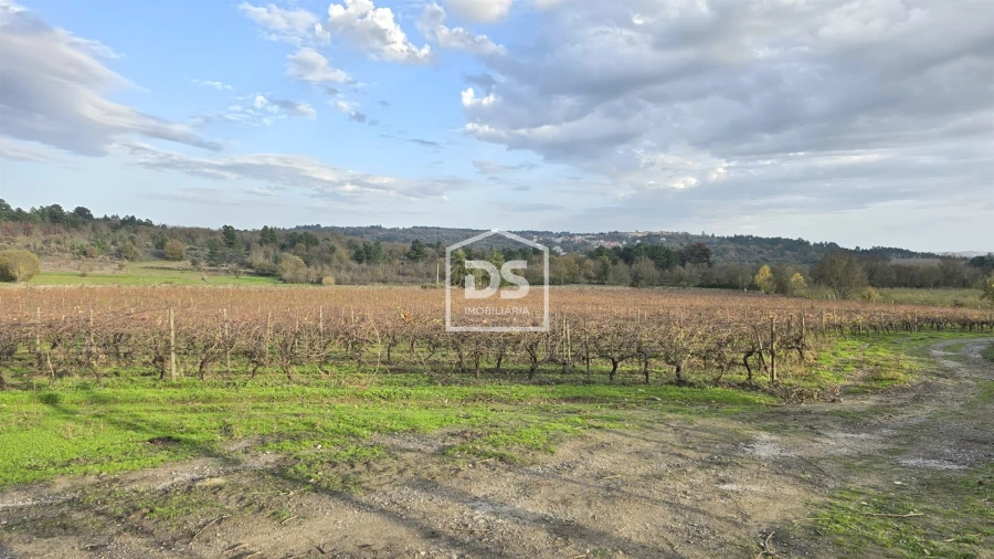 Quinta T0 para Venda em Moimentinha Foto 17