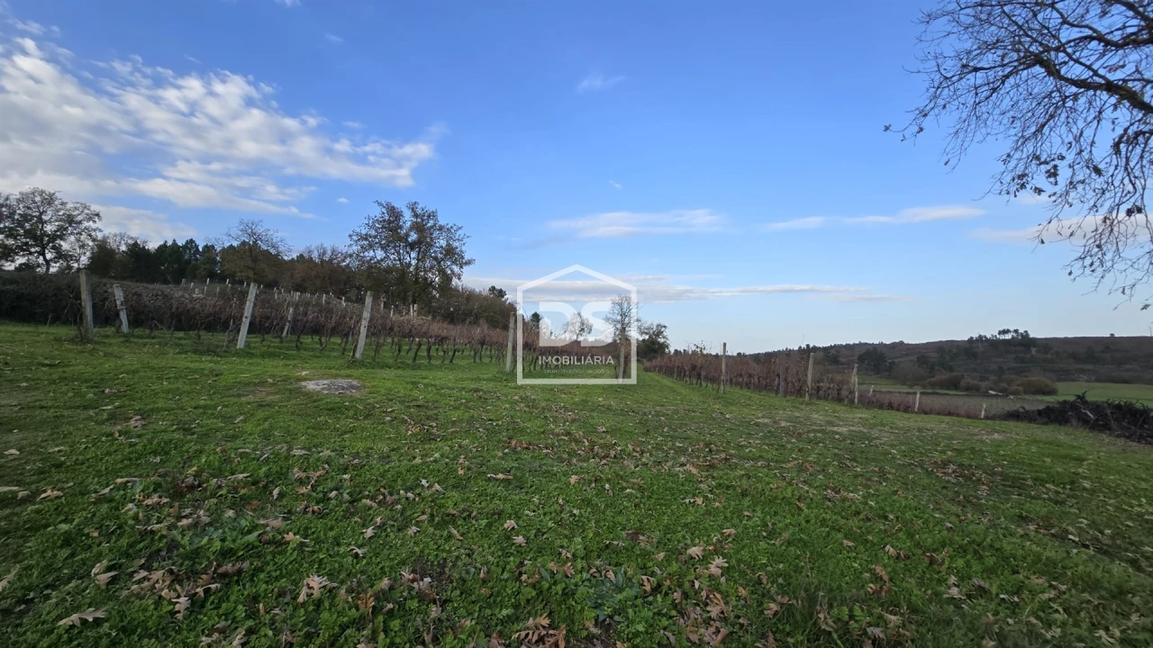 Quinta T0 para Venda em Moimentinha Foto 30