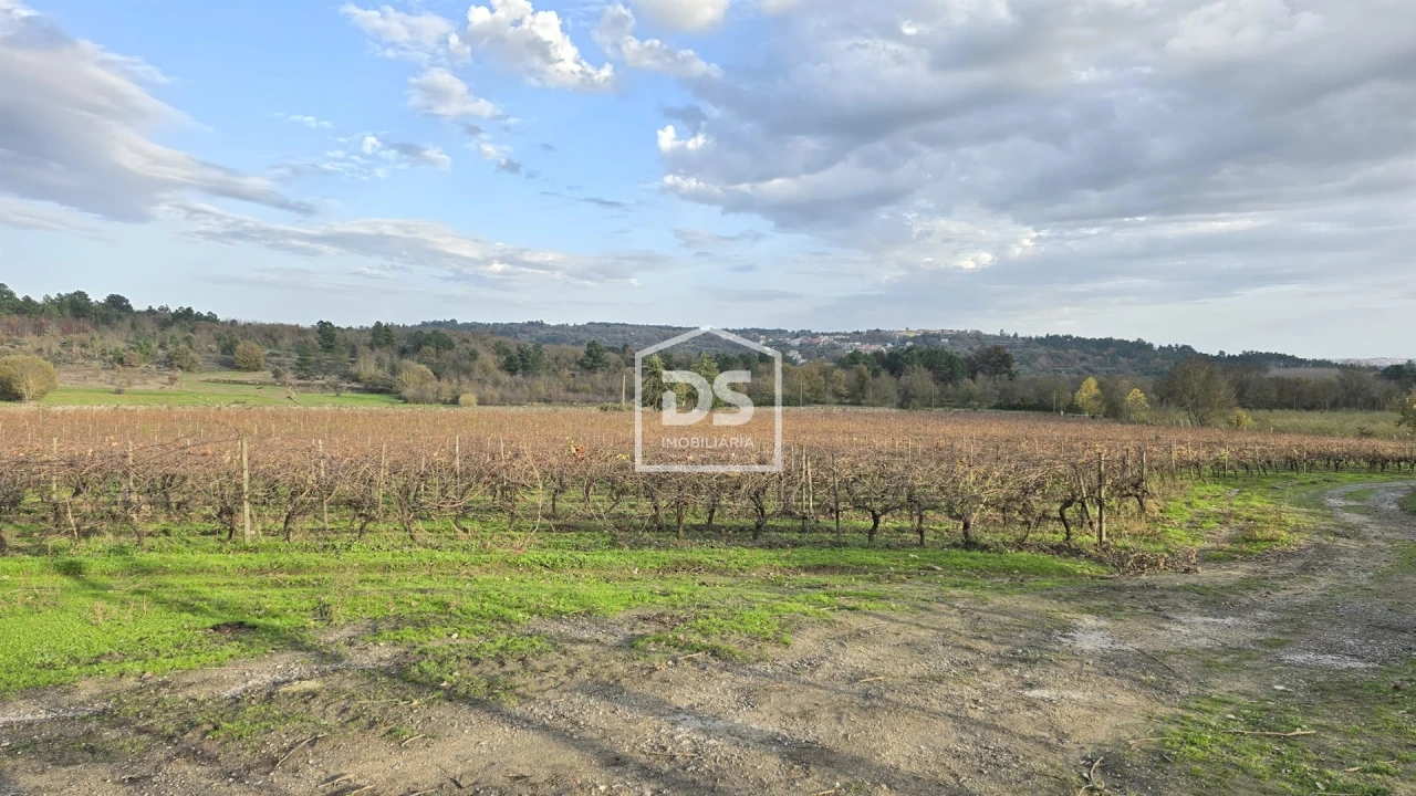 Quinta T0 para Venda em Moimentinha Foto 17