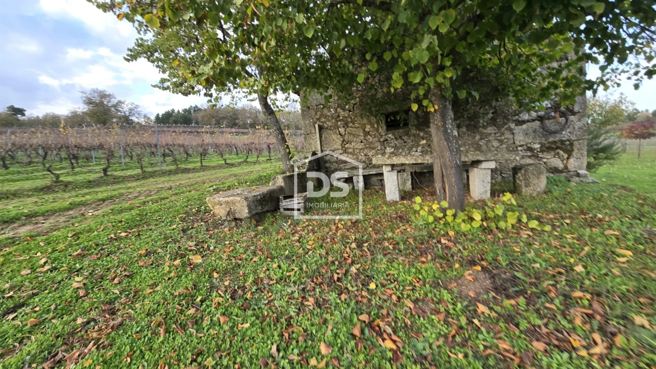 Quinta T0 para Venda em Moimentinha Foto 11