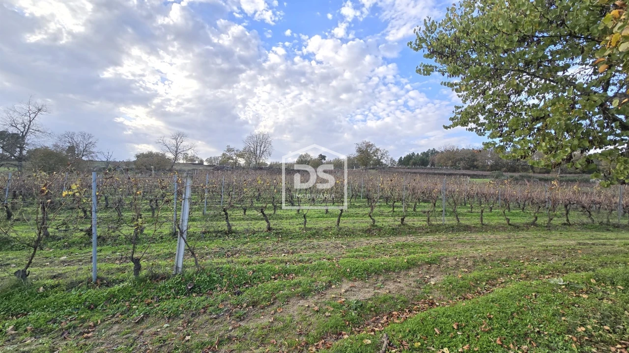 Quinta T0 para Venda em Moimentinha Foto 36