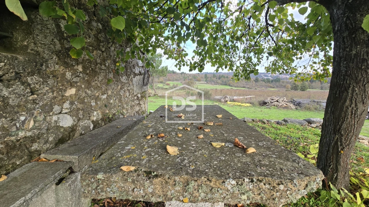 Quinta T0 para Venda em Moimentinha Foto 9