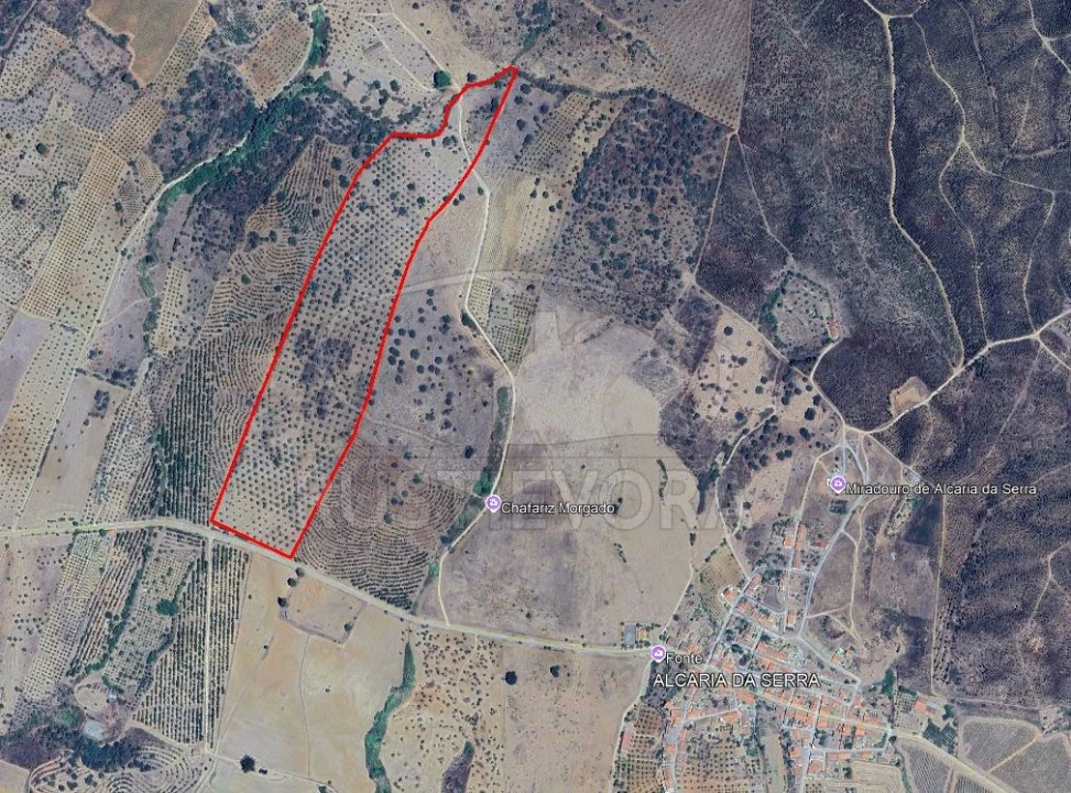 Quinta para Venda em Selmes Foto 2