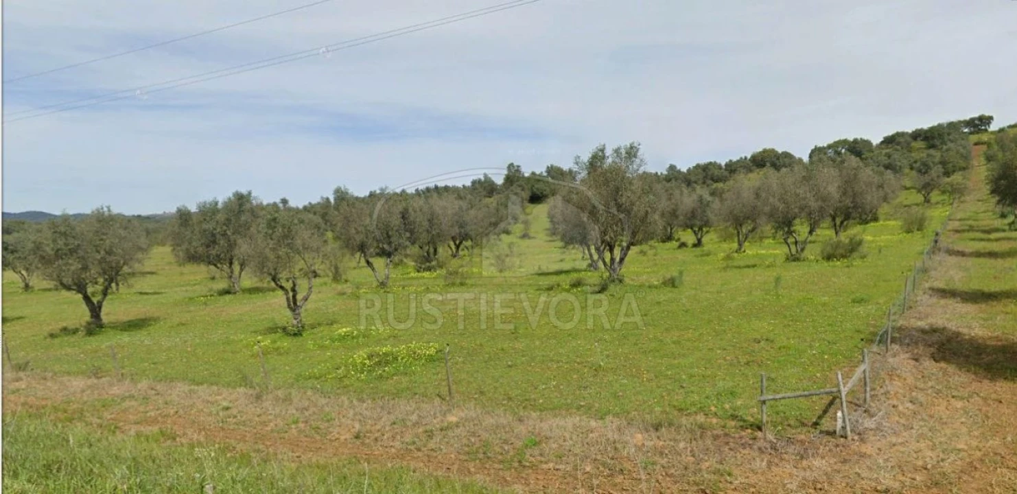 Quinta para Venda em Selmes Foto 18