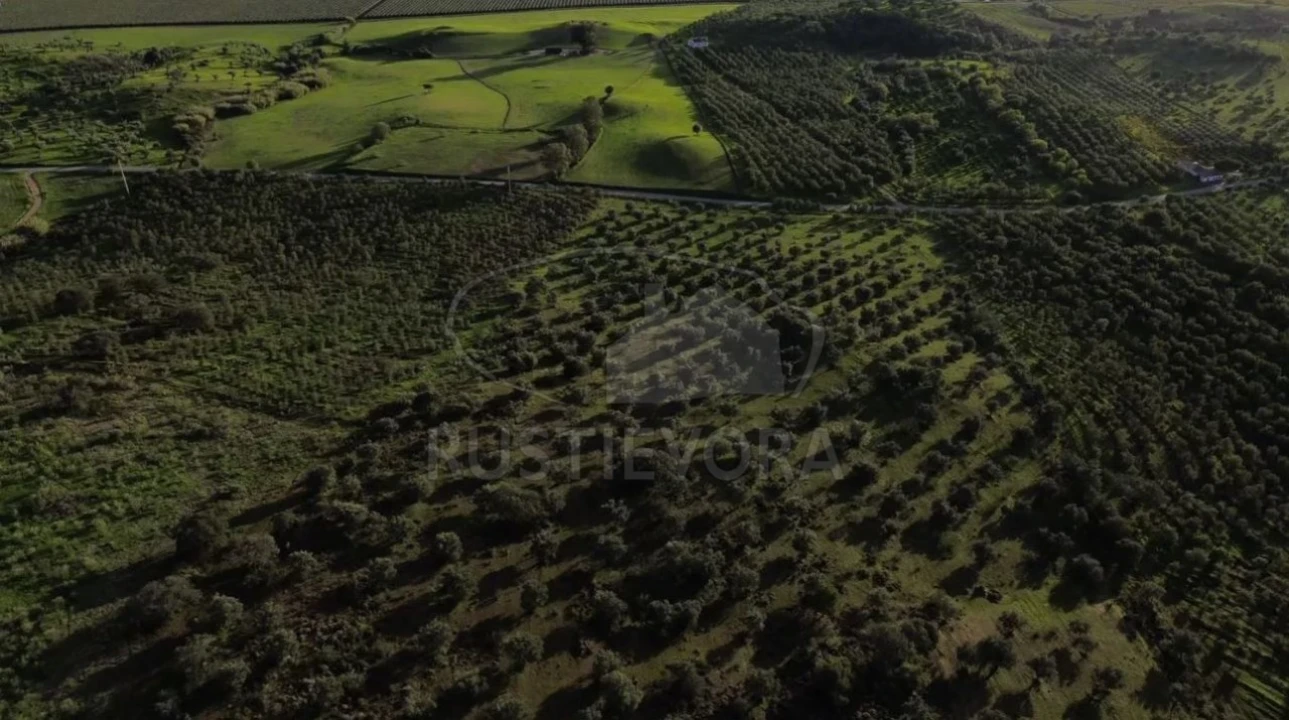 Quinta para Venda em Selmes Foto 19