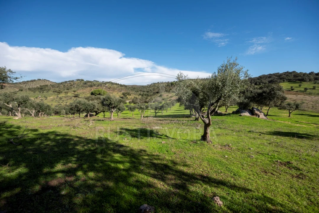 Quinta para Venda em Selmes Foto 1