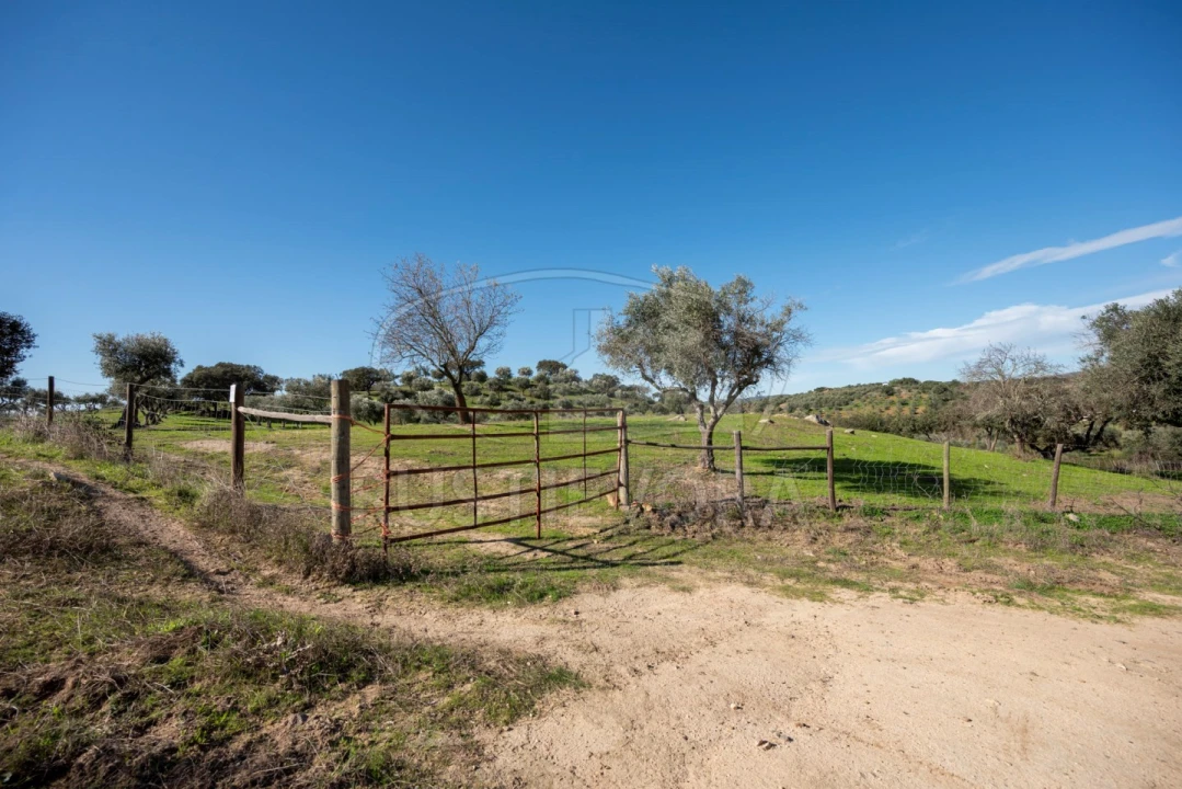 Quinta para Venda em Selmes Foto 3