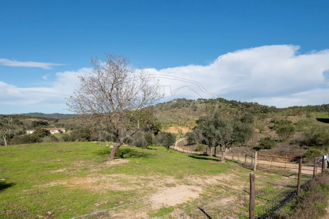Quinta para Venda em Selmes Foto 6