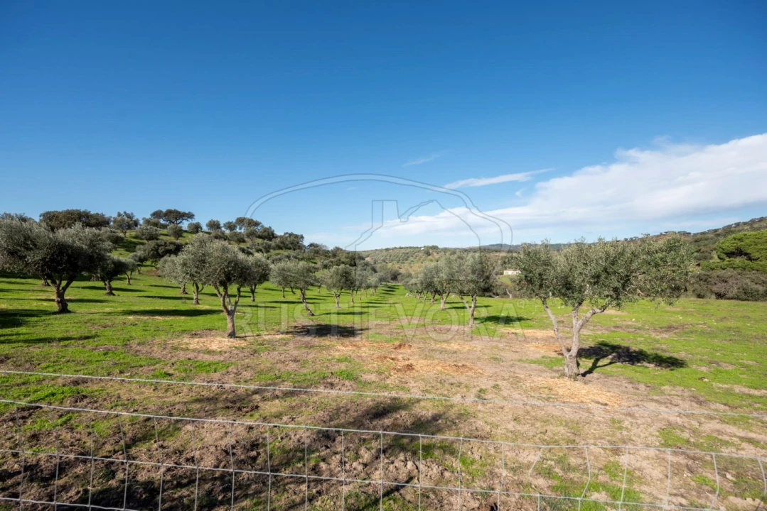 Quinta para Venda em Selmes Foto 7