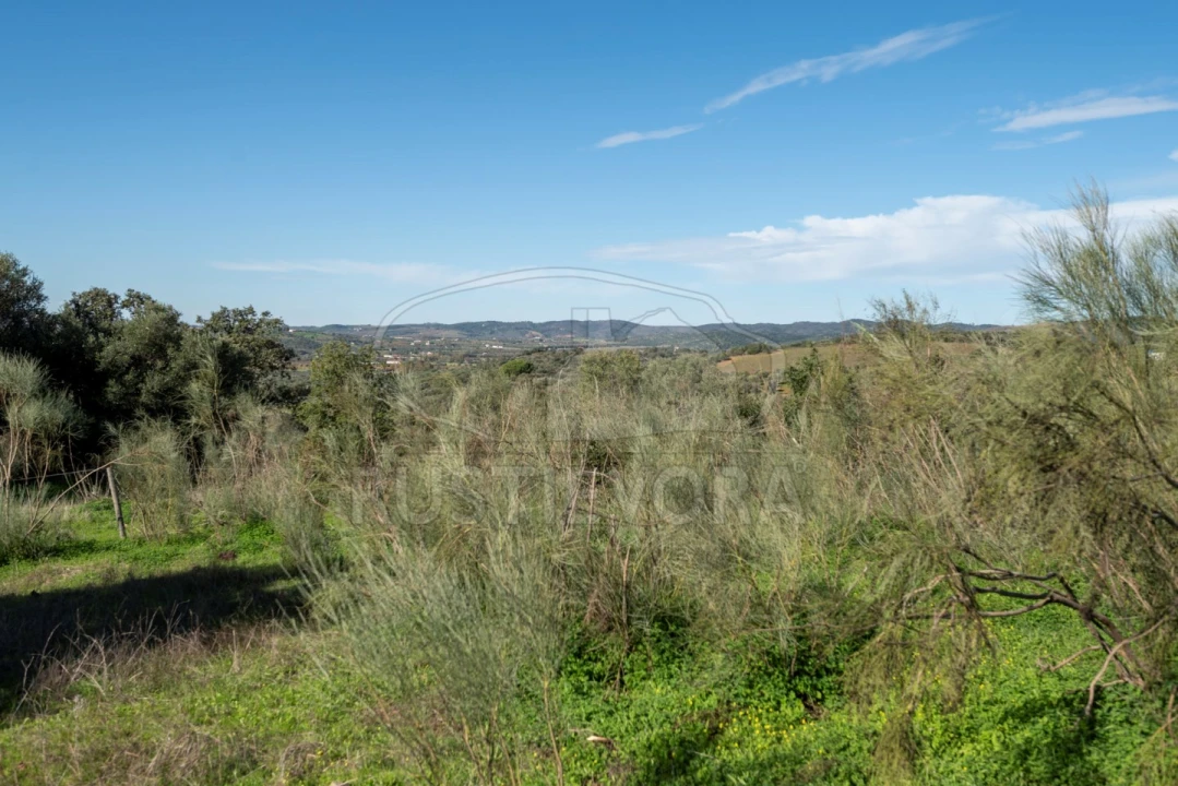 Quinta para Venda em Selmes Foto 13