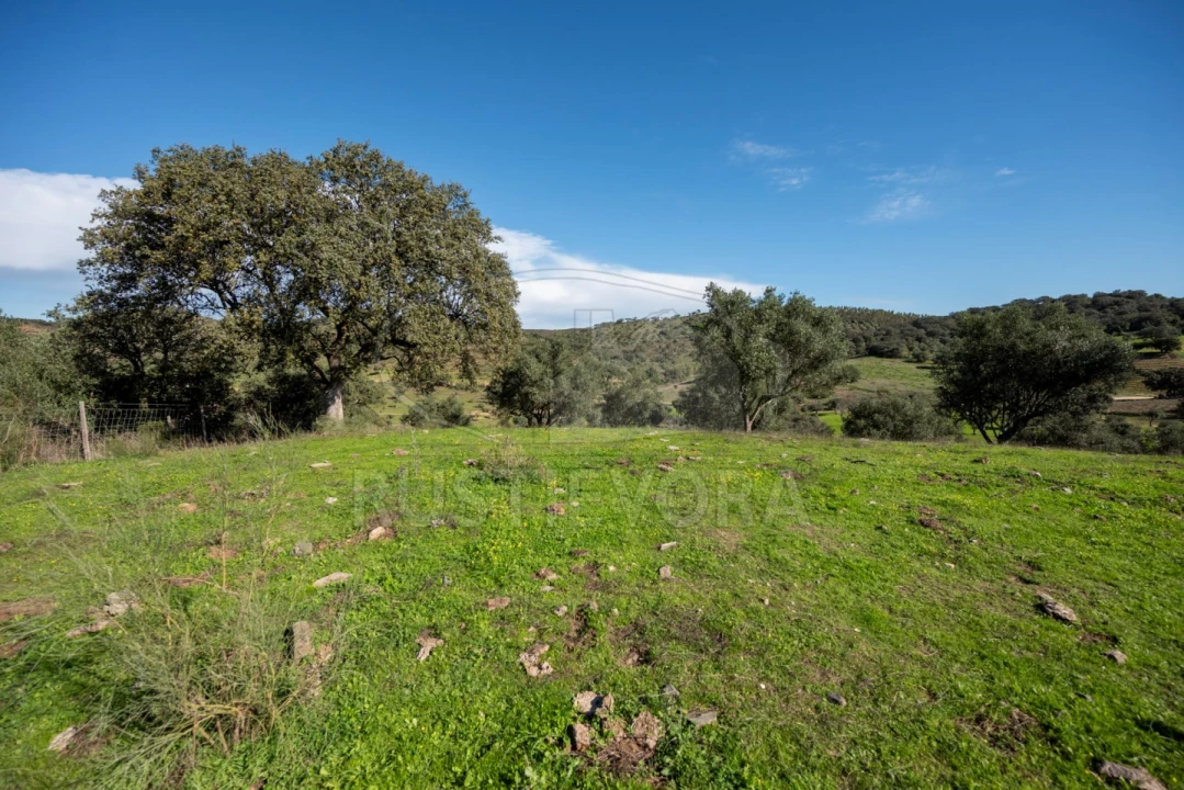 Quinta para Venda em Selmes Foto 14