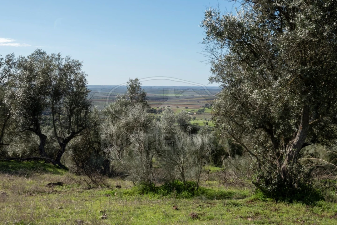 Quinta para Venda em Selmes Foto 15