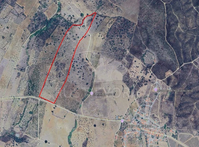 Quinta para Venda em Selmes Foto 2