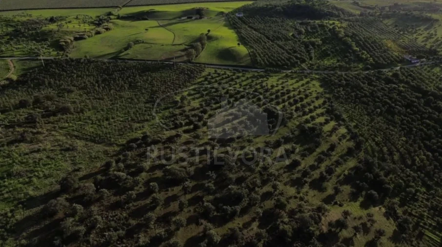 Quinta para Venda em Selmes Foto 19