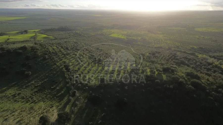 Quinta para Venda em Selmes Foto 22