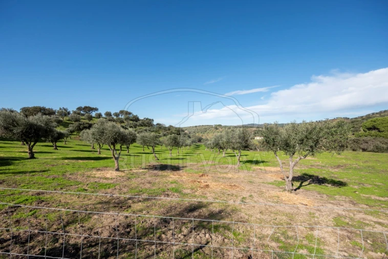 Quinta para Venda em Selmes Foto 7