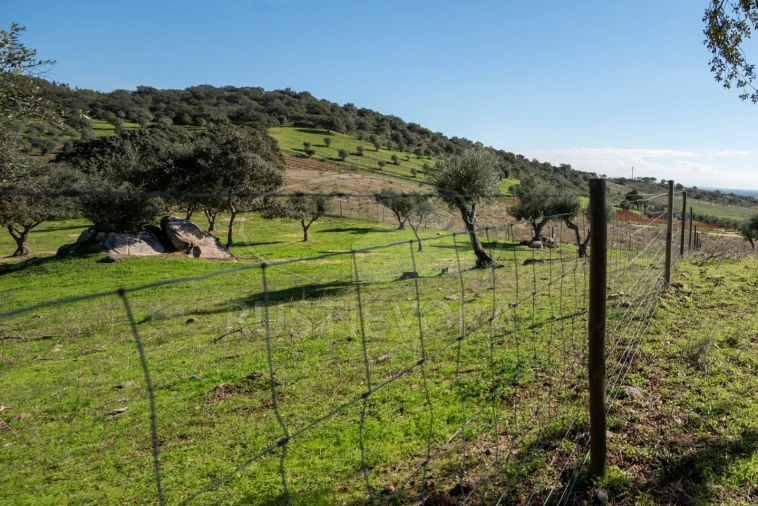 Quinta para Venda em Selmes Foto 10
