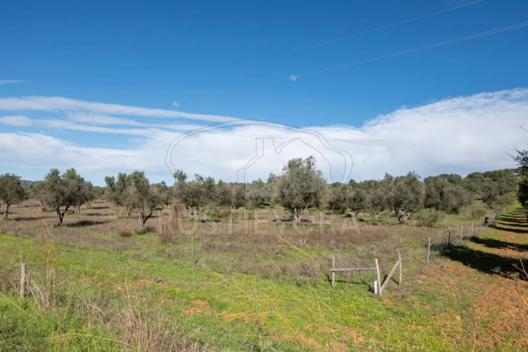 Quinta para Venda em Selmes Foto 16