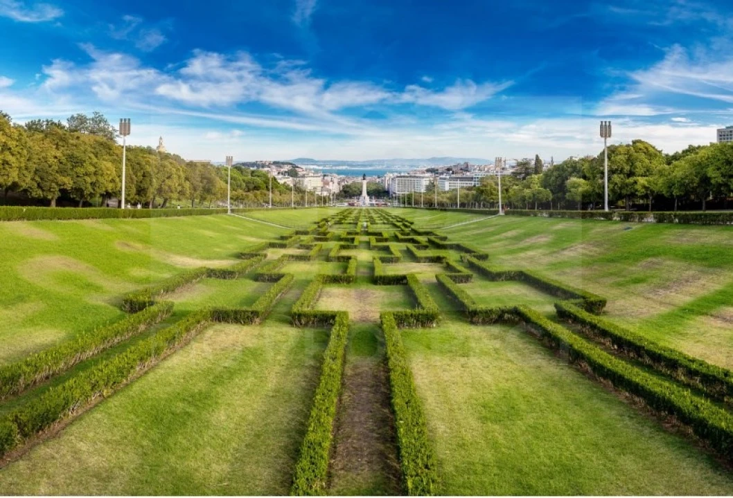 Loja para Venda em Santo António Foto 6