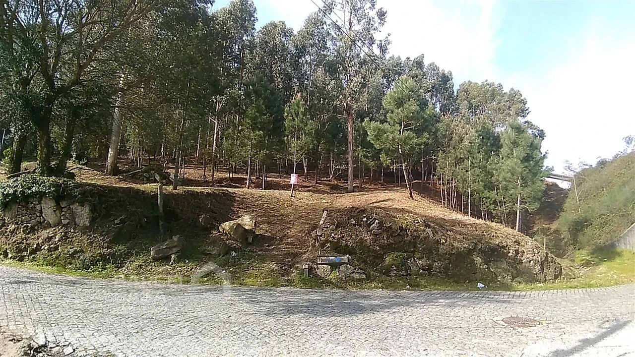 Terreno para Venda em Carvalhal Foto 2