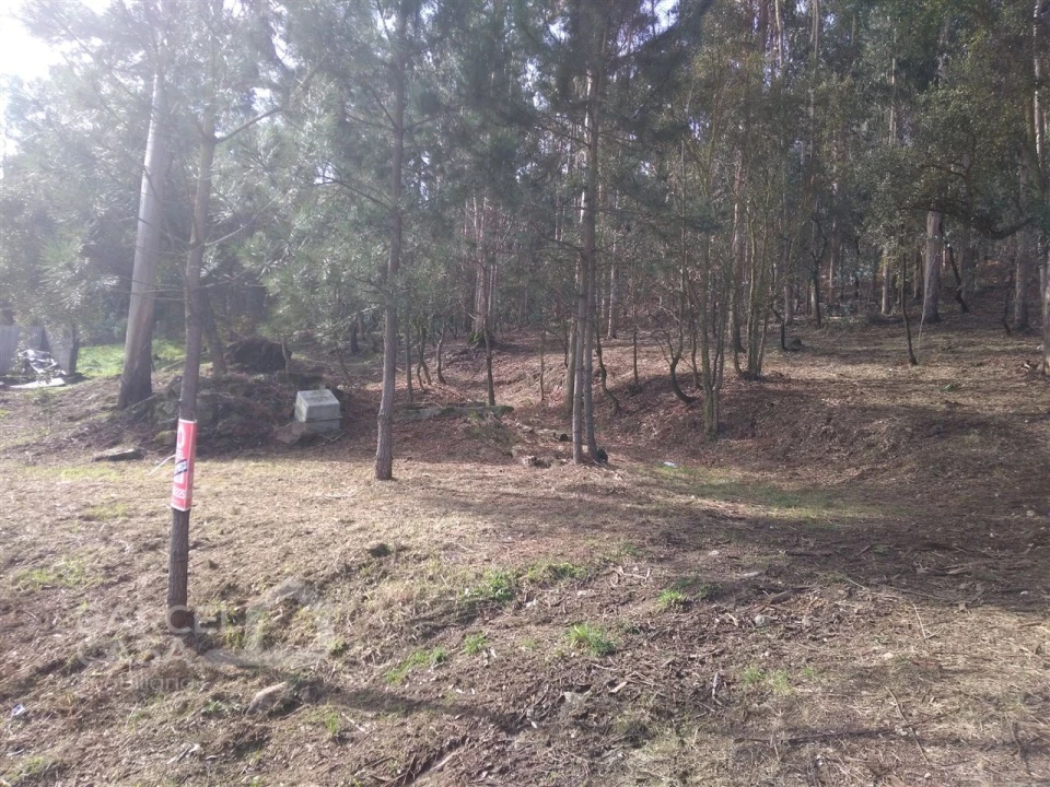 Terreno para Venda em Carvalhal Foto 3