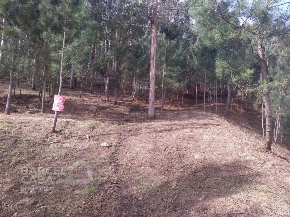 Terreno para Venda em Carvalhal Foto 9