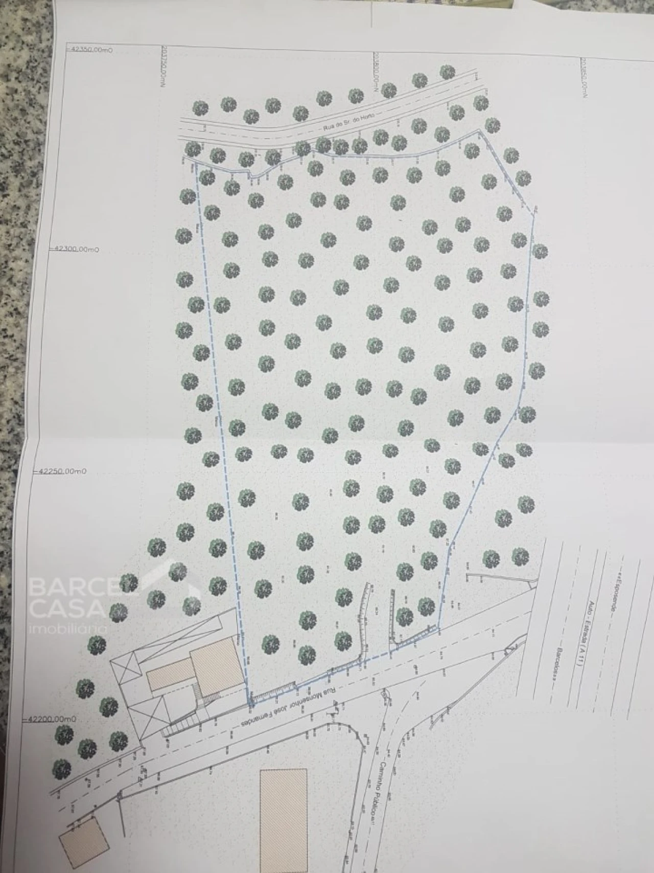 Terreno para Venda em Carvalhal Foto 14