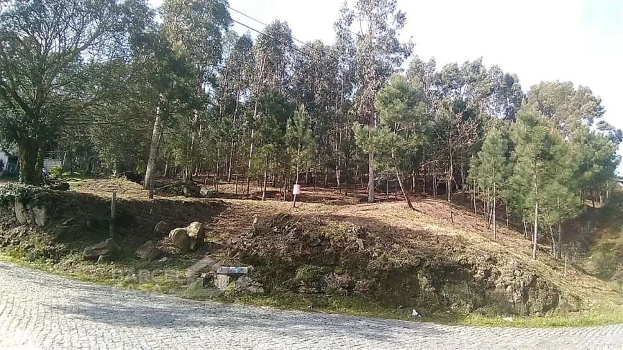 Terreno para Venda em Carvalhal