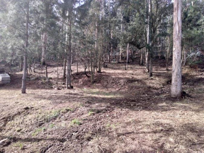 Terreno para Venda em Carvalhal Foto 5
