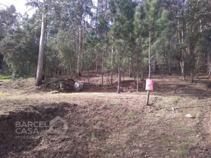 Terreno para Venda em Carvalhal Foto 8