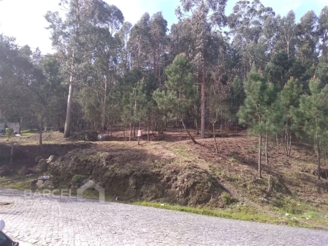 Terreno para Venda em Carvalhal Foto 10