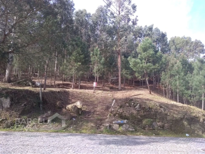 Terreno para Venda em Carvalhal Foto 11