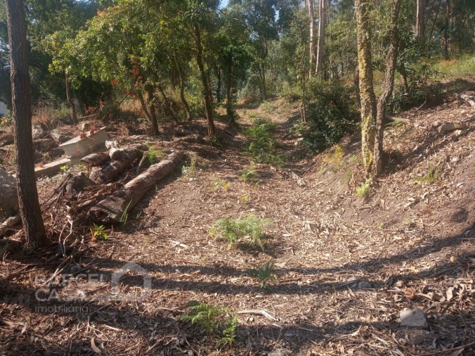 Terreno para Venda em Carvalhal Foto 12