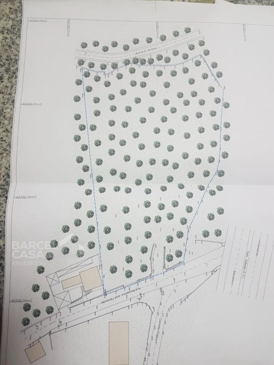 Terreno para Venda em Carvalhal Foto 14