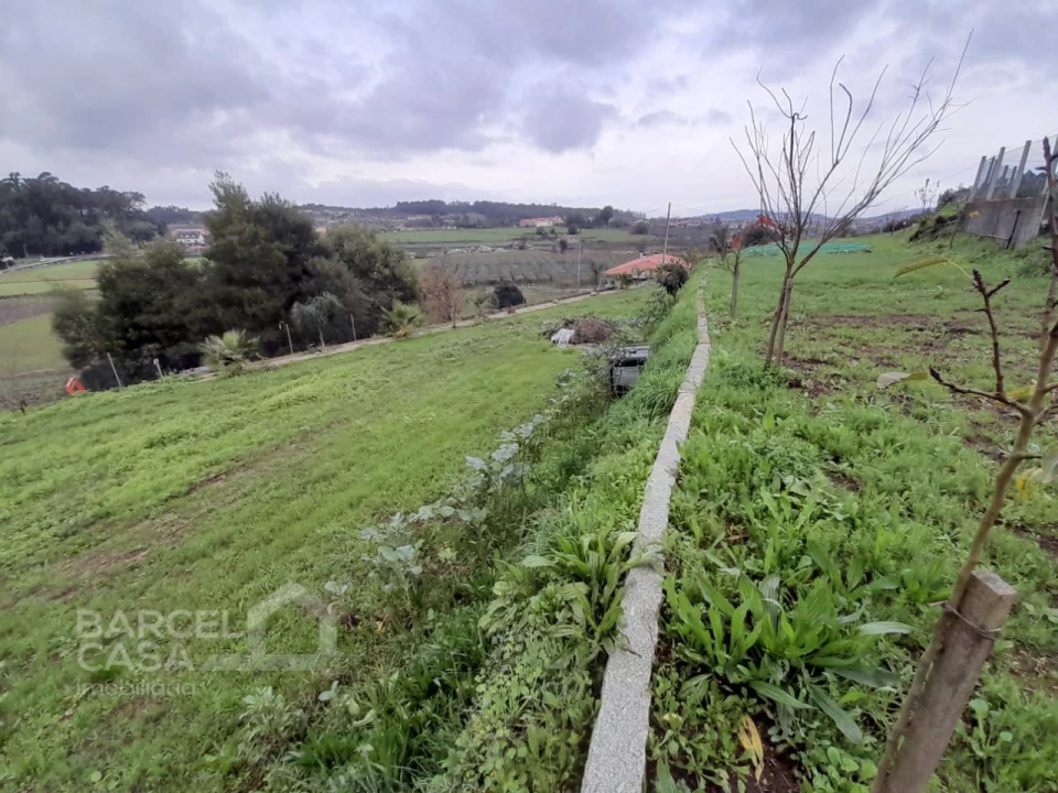 Terreno para Venda em Areias de Vilar e Encourados Foto 6