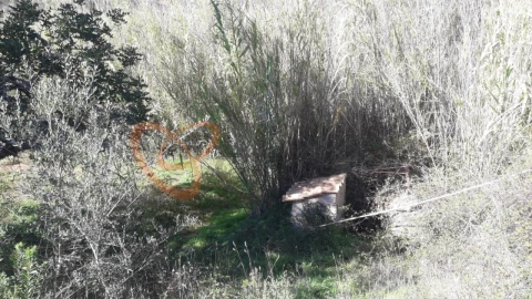 Moradia T3 para Venda em São Bartolomeu de Messines