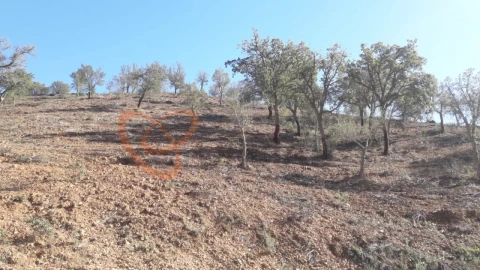 Moradia T3 para Venda em São Bartolomeu de Messines