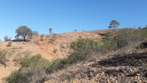 Moradia T3 para Venda em São Bartolomeu de Messines
