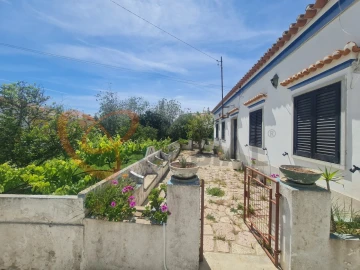Terreno para Venda em Alcantarilha e Pêra