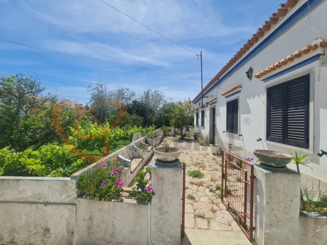 Terreno para Venda em Alcantarilha e Pêra Foto 2