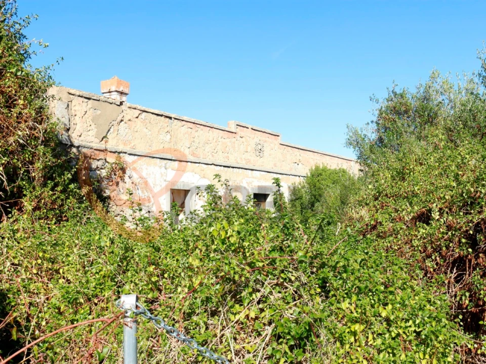 Terreno para Venda em Loule (São Clemente) Foto 17