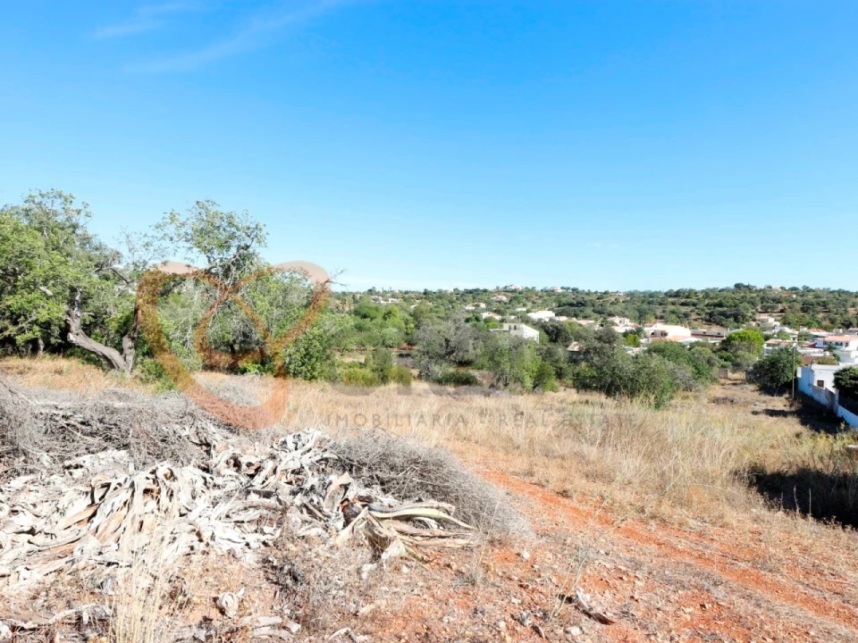 Terreno para Venda em Loule (São Clemente) Foto 20