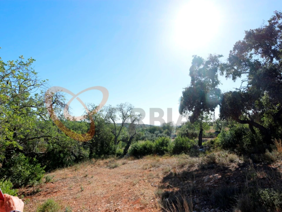 Terreno para Venda em Loule (São Clemente) Foto 22